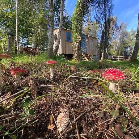 Sapphire Forest Garden Shepherd'S Hut Church Stretton Extérieur photo