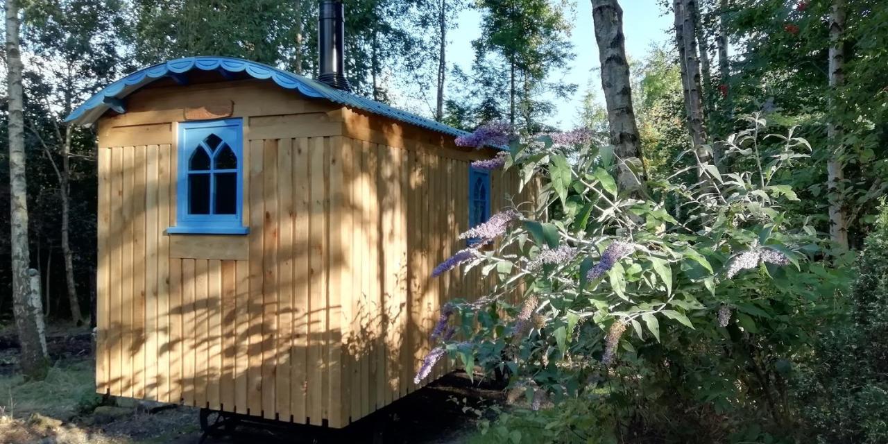 Sapphire Forest Garden Shepherd'S Hut Church Stretton Extérieur photo