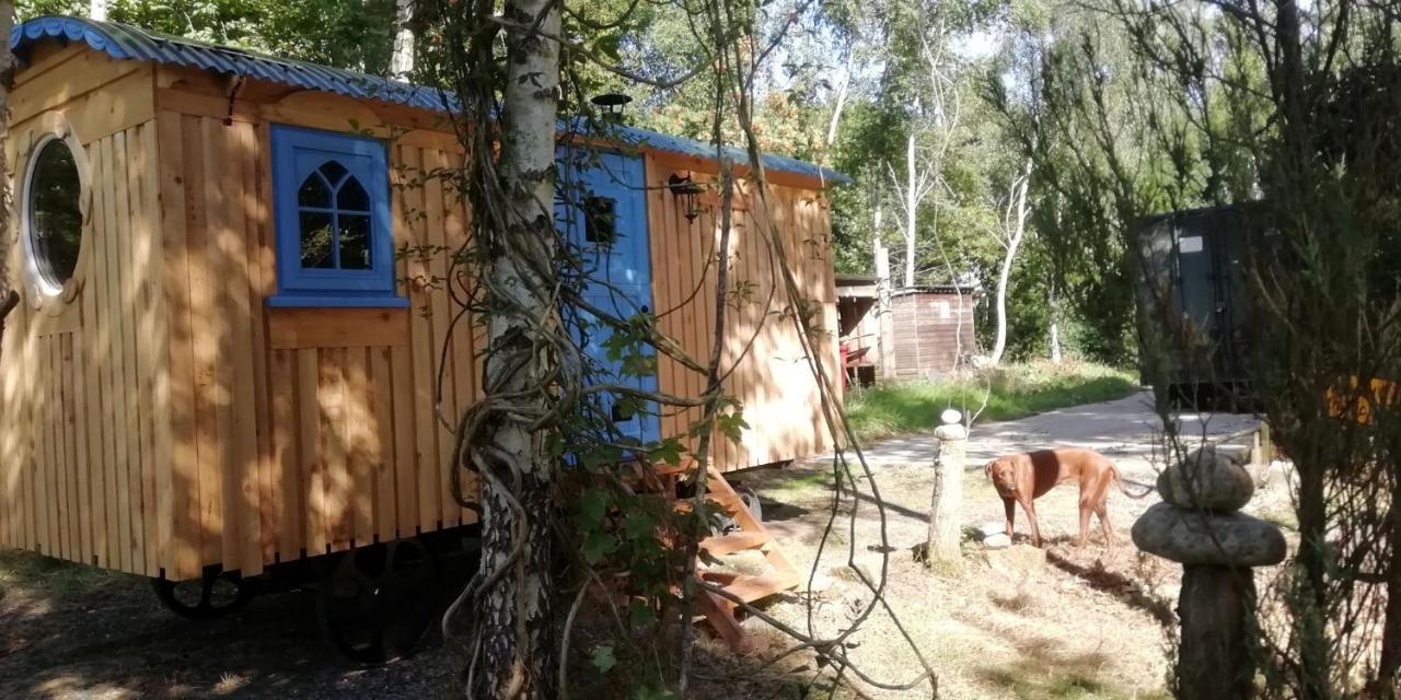 Sapphire Forest Garden Shepherd'S Hut Church Stretton Extérieur photo