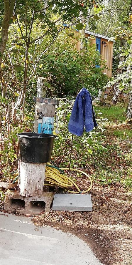 Sapphire Forest Garden Shepherd'S Hut Church Stretton Extérieur photo